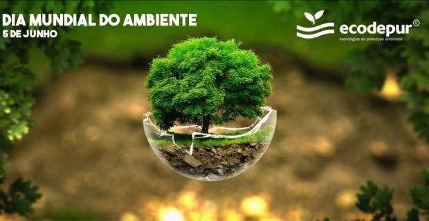 Dia Mundial do Ambiente
