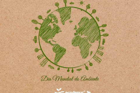 Dia Mundial do Ambiente | Celebra-se a biodiversidade